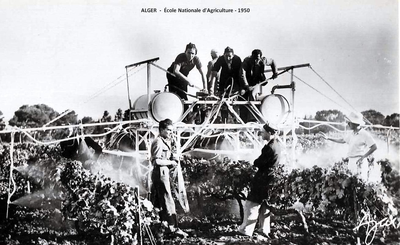 Alger - Ecole2 Nationale d'Agriculture - 1950.jpg